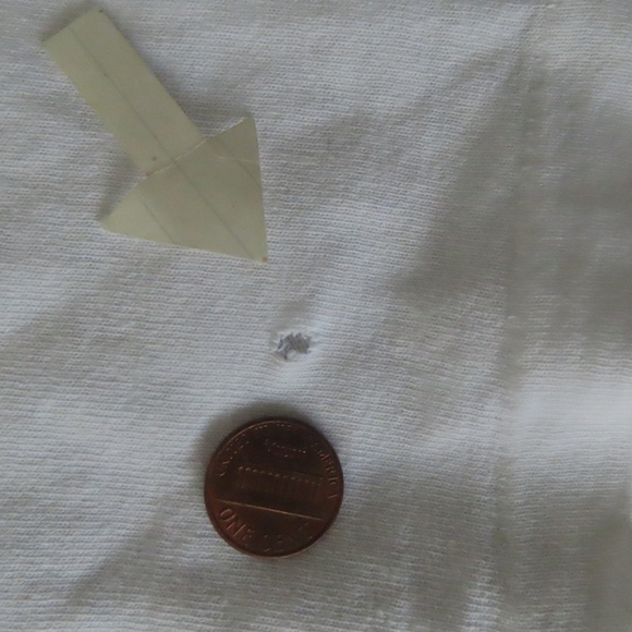 Vintage 1990s Warner Bros Michigan J Frog Ribit T-Shirt Size XL - Picture 5 of 9